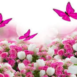 Expedita similique s